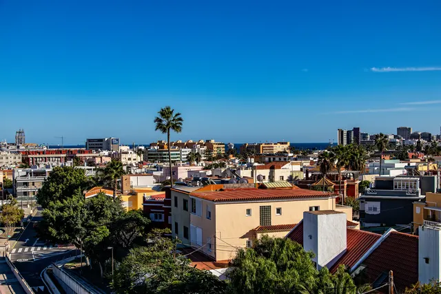 Rooftops of Las Palmas with a palm tree and the sea beyond