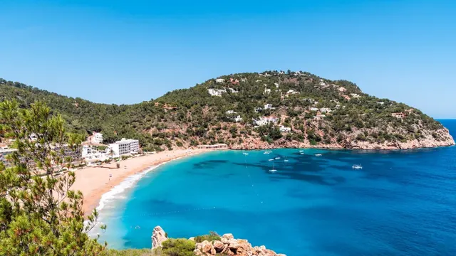 Turquoise cove and pine headland on Ibiza