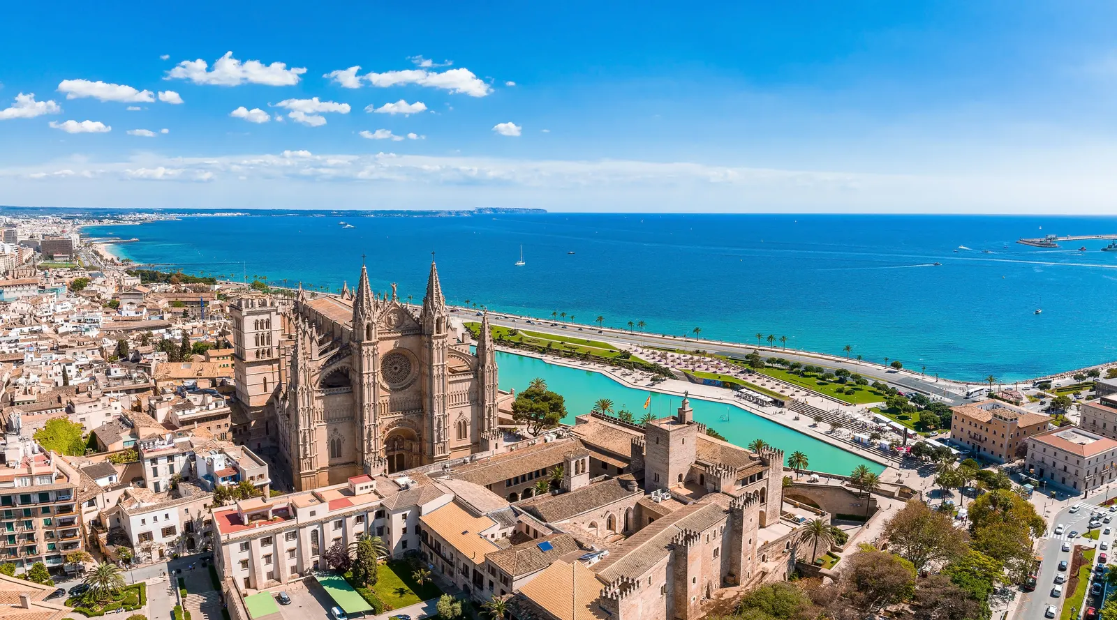 Palma Cathedral and the seafront from above