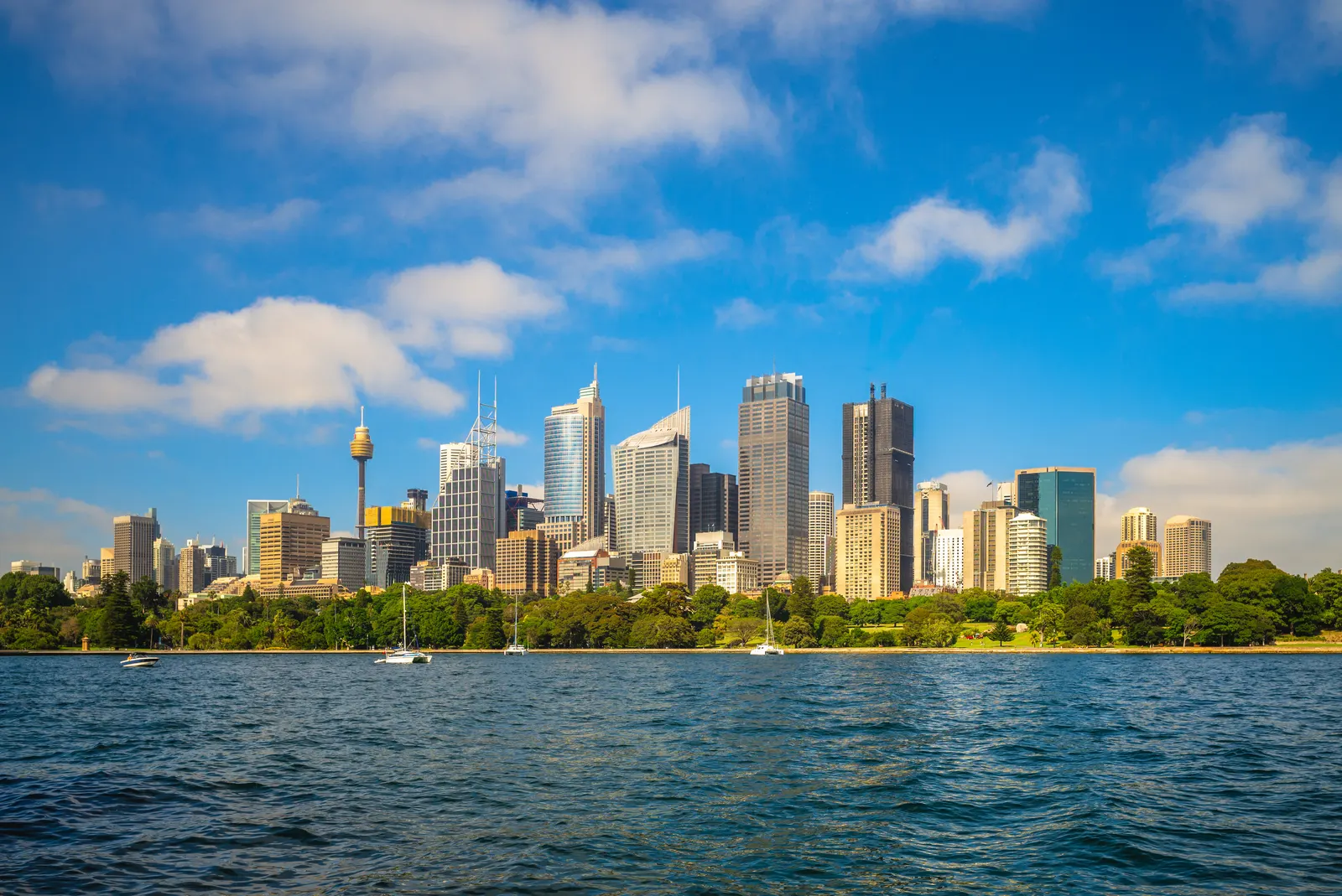 Sydney's skyline across the harbour on a clear day